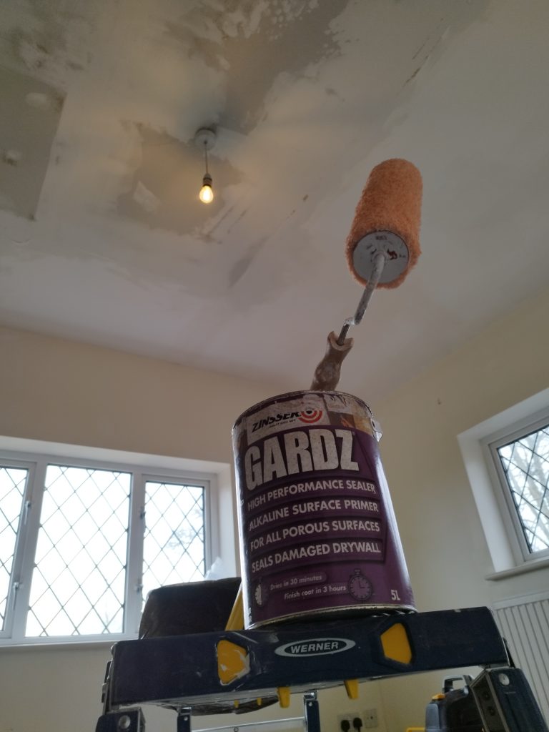 Zinsser Gardz Dry Wall Seal Decorator Painter Plaster Skim Milton Keynes